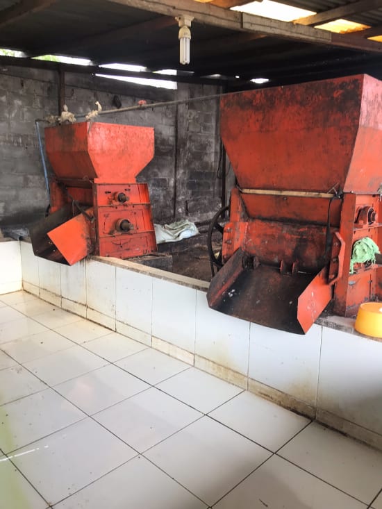 Indonesia, Pantan Musara Washed