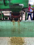 Indonesia, Pantan Musara Washed