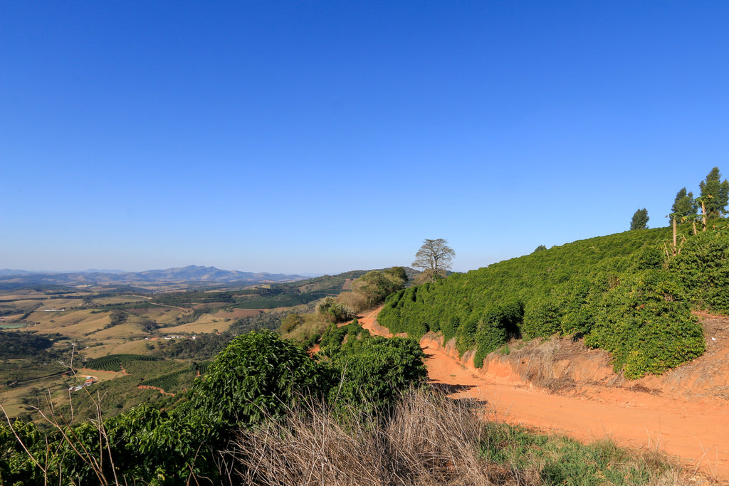 Brazil, Fazenda Sertão