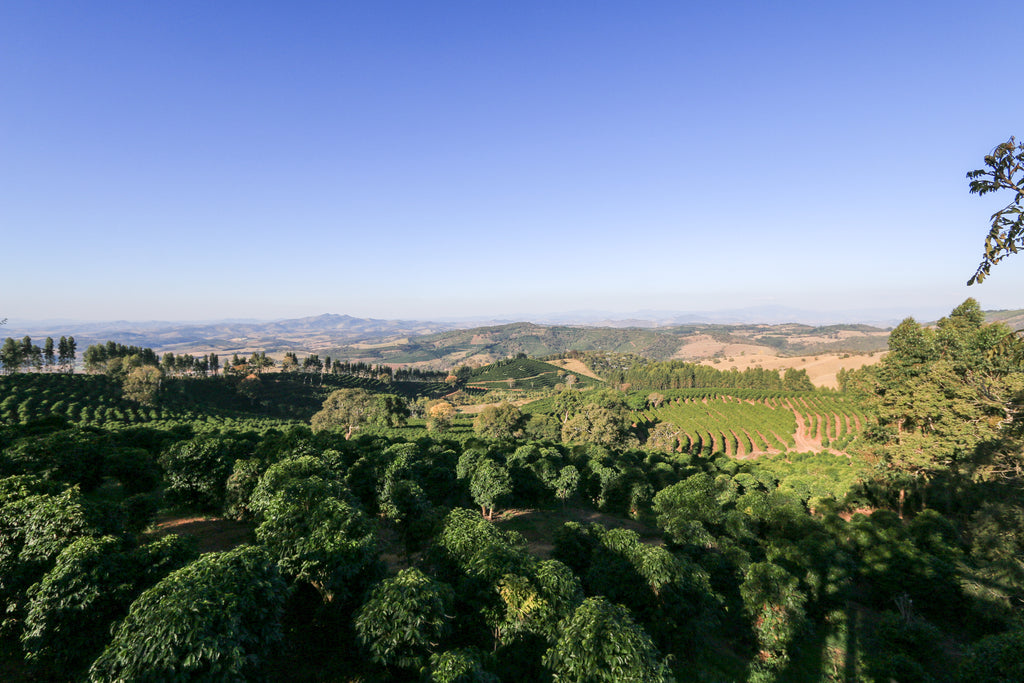 Brazil, Fazenda Sertão