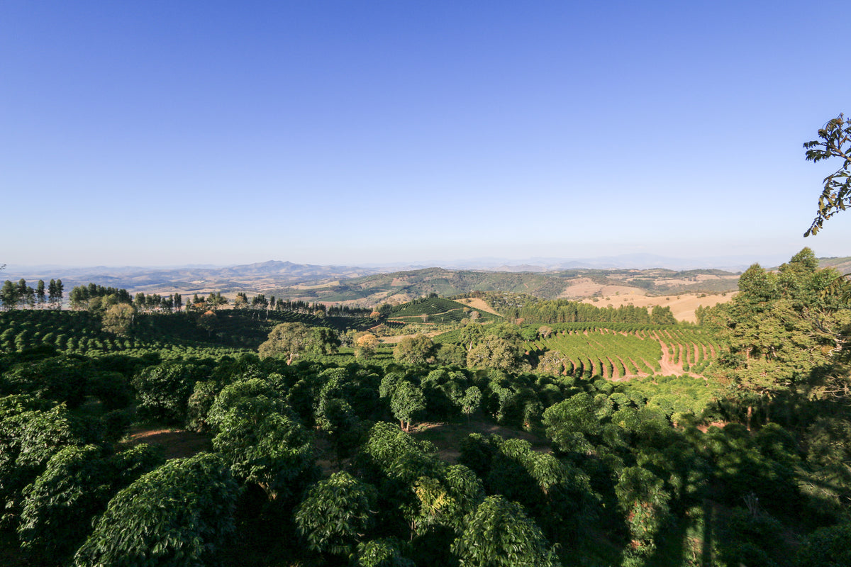 Brazil, Fazenda Sertão