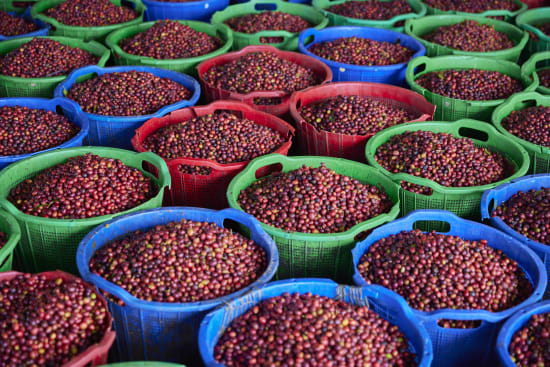 Indonesia, Pantan Musara Washed