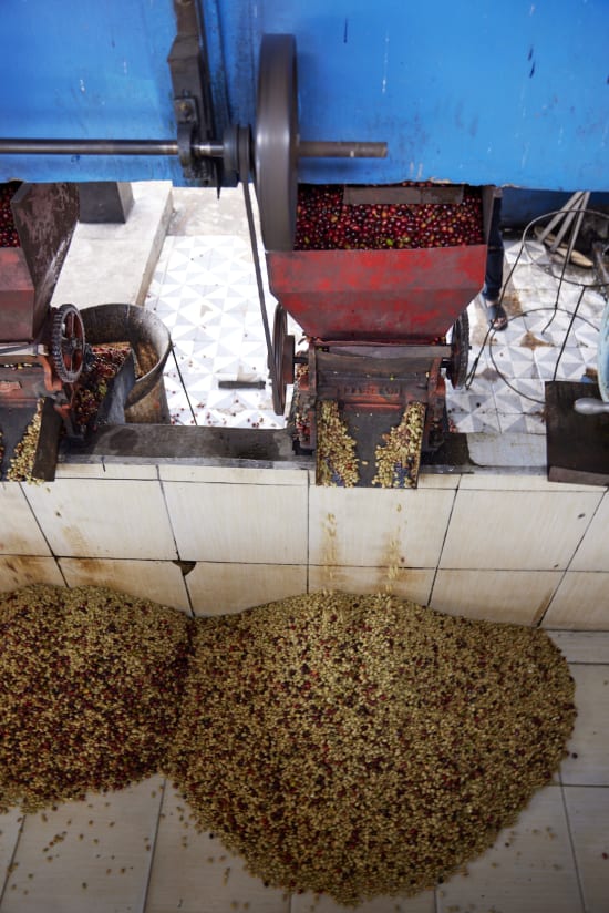 Indonesia, Pantan Musara Washed