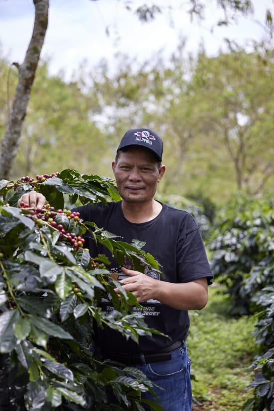 Indonesia, Pantan Musara Washed