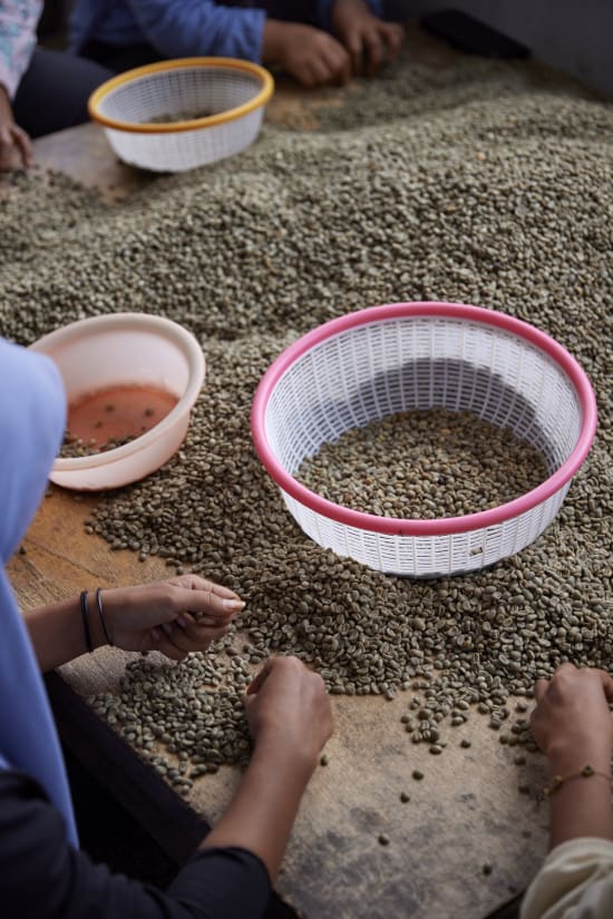 Indonesia, Pantan Musara Washed