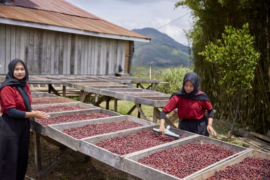 Indonesia, Pantan Musara Washed